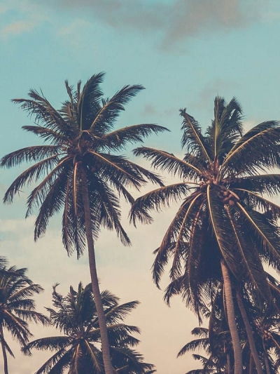 blog-5